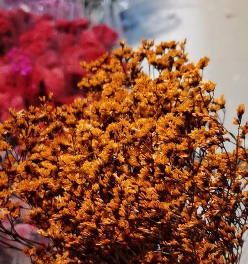 水晶花的花语及其寓意（探寻水晶花的神秘之美）