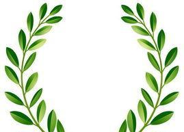 橄榄枝的象征意义（探索橄榄枝在不同文化中的象征意义及其历史渊源）
