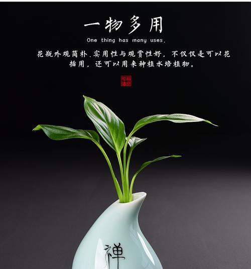 禅意之美（寻找内心宁静的生命密码）
