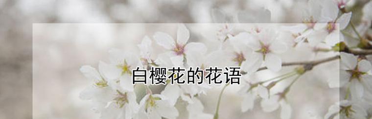 樱花的花语与代表意义（传递美丽与希望的花朵）