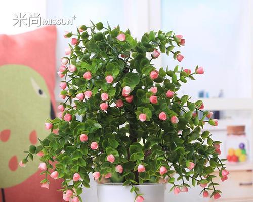 寓意好的盆景树——生活中的美好象征（以盆景树为媒介，传递幸福与希望的意象）