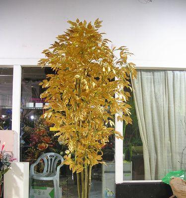榕树的花语和文化寓意（探寻榕树的神秘面纱）