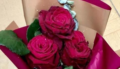 13朵玫瑰的花语与意义剖析（探究玫瑰花的传情之道）