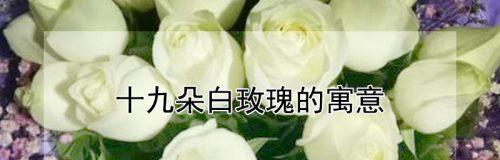 19朵玫瑰的花语（用19朵玫瑰传达浓浓爱意，恋人的独特选择）