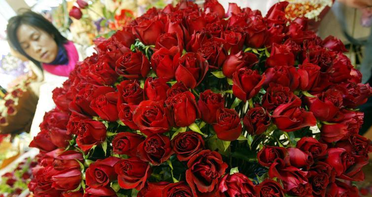 35朵玫瑰花语的浪漫之意（表达真挚情感的35朵玫瑰花语及传递爱的）