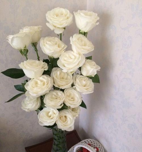 白玫瑰的花语之谜（9朵白玫瑰传递的浪漫与祝福）