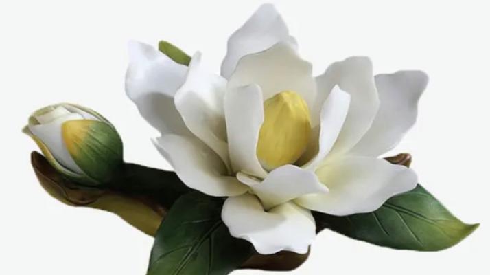 白茶花（探寻白茶花的花语和寓意，感受它带来的美好）