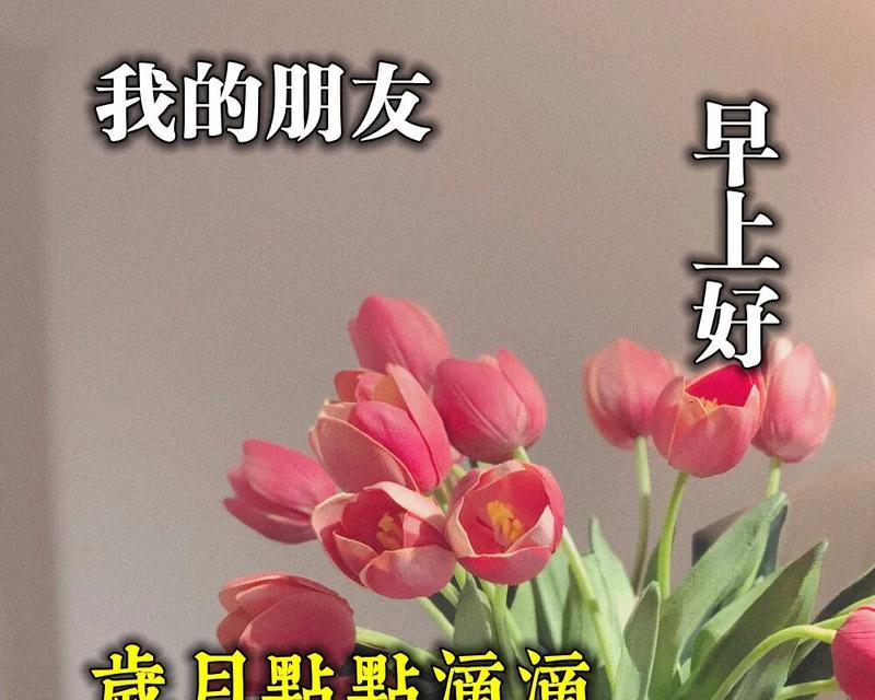 花语祝福，用花言巧语传递祝愿（传递美好祝福的花语之境）