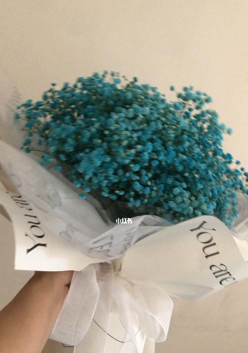绚烂满天星，花海如梦（多彩满天星花语揭秘）