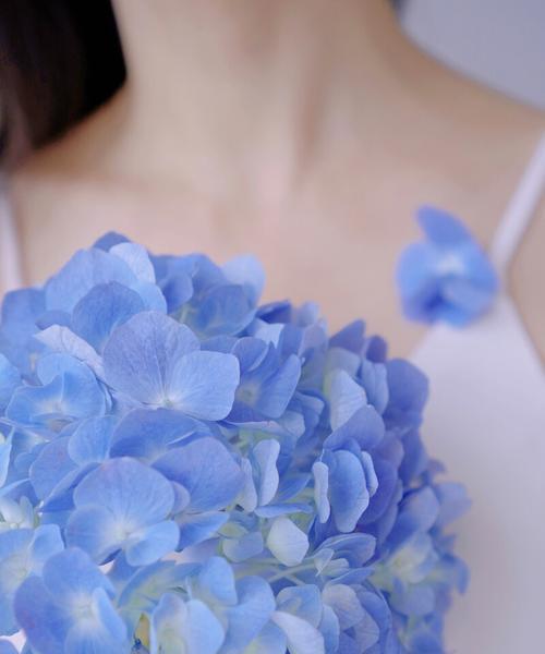 蓝色阴雨，独爱开花（一年几次，不重要，重要的是那份坚持）