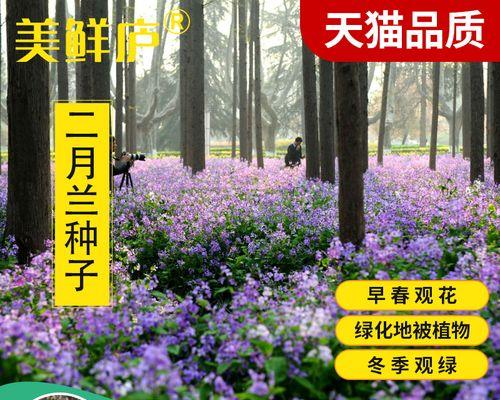 种植二月兰，发芽时间短（探究二月兰种子发芽的关键因素）