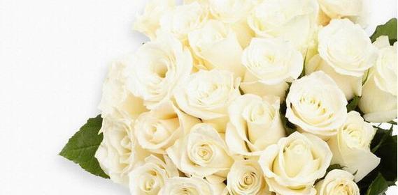 白玫瑰的花语（11朵白玫瑰的花语含义与传达方式）
