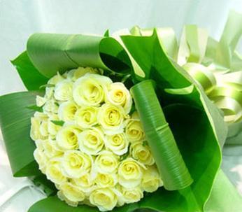 11朵黄玫瑰的花语意思（传递友谊、感激和祝福的黄玫瑰）