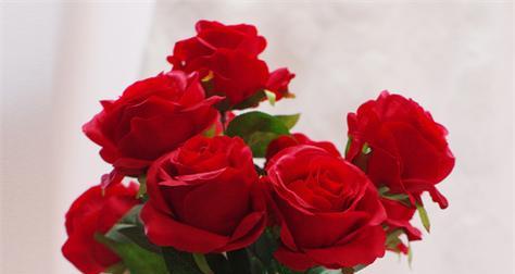 12朵玫瑰花语（用花语传递爱意的艺术）