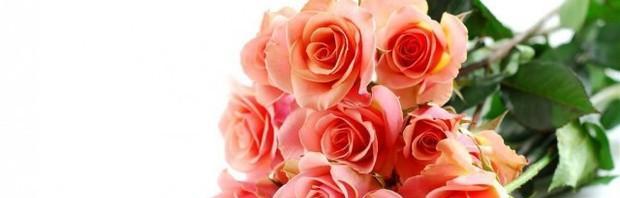 浪漫的玫瑰花语（解读13朵玫瑰的含义，传递真挚爱意）
