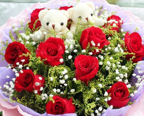 16朵玫瑰的花语与寓意（解读16朵玫瑰的含义，传递真挚的情感）