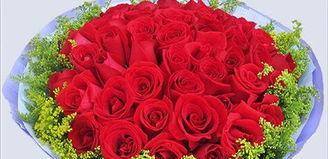 红玫瑰花语（用19支红玫瑰传递真挚的情感）