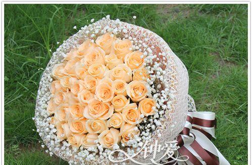 21朵玫瑰花的花语（纯真、深情、痴迷、忠诚、真爱……21朵玫瑰花传递的情感）