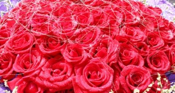 25朵玫瑰花语的深刻含义（揭示爱情、友谊和感激的真正内涵）