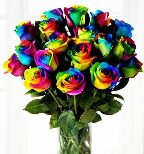29朵玫瑰花的花语——传递深情的完美之选（用29朵玫瑰花表达浓烈的爱意，彰显真挚的情感）