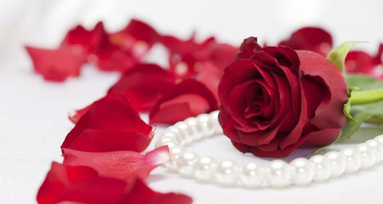 29朵玫瑰花的花语——传递深情的完美之选（用29朵玫瑰花表达浓烈的爱意，彰显真挚的情感）