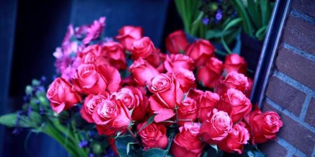 44朵玫瑰花语的浪漫诠释（用花语传递爱意与祝福的艺术之旅）