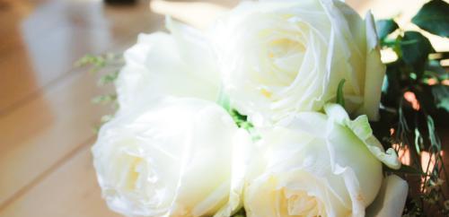 白玫瑰的花语与意义（解读白玫瑰11朵的浪漫与纯洁）