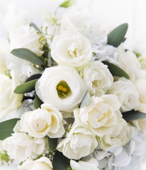 白玫瑰的花语——纯洁与爱的象征