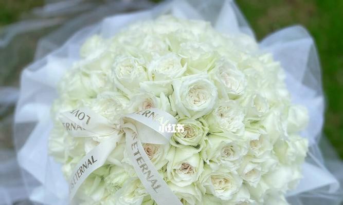 白玫瑰的花语和寓意（探寻白玫瑰背后的情感和象征，品味它特殊的美丽与意义）