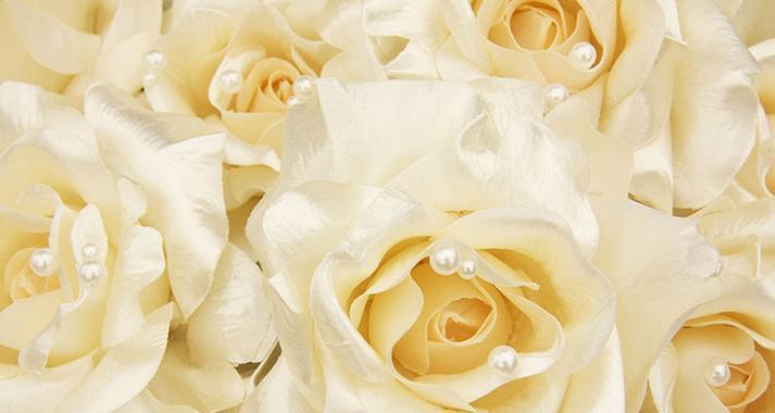 白玫瑰（探寻白玫瑰背后的美丽与意义）