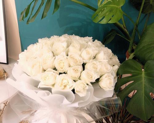 白玫瑰花（探寻白玫瑰花的花语，感受它独特的魅力）
