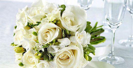 白玫瑰花语与寓意——纯洁与无声的爱之象征（探寻白玫瑰花背后的世界）