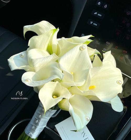 白色马蹄莲花（马蹄莲花语及其在文化中的意义）