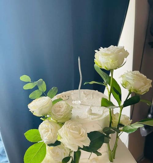 白色玫瑰花的寓意与象征意义（探秘白色玫瑰花的浪漫与纯洁）