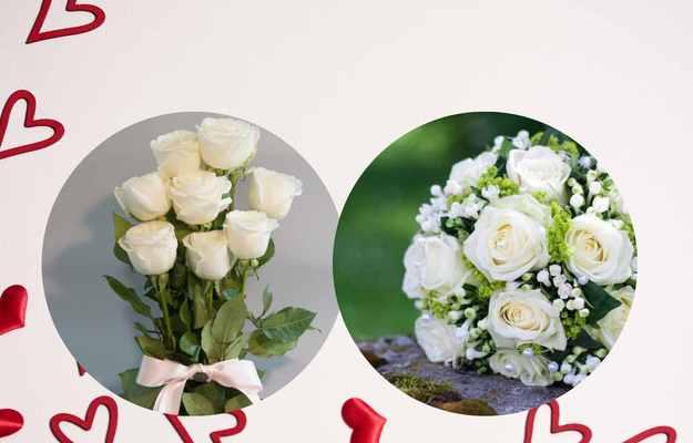 白色玫瑰的花语及其传达的爱情美好（揭示白色玫瑰的独特花语，让爱情绽放）