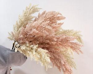 手把手教你制作芦苇花干花（芦苇花干花制作方法及注意事项）