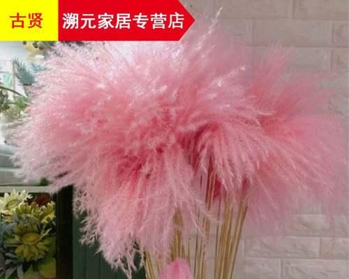 手把手教你制作芦苇花干花（芦苇花干花制作方法及注意事项）