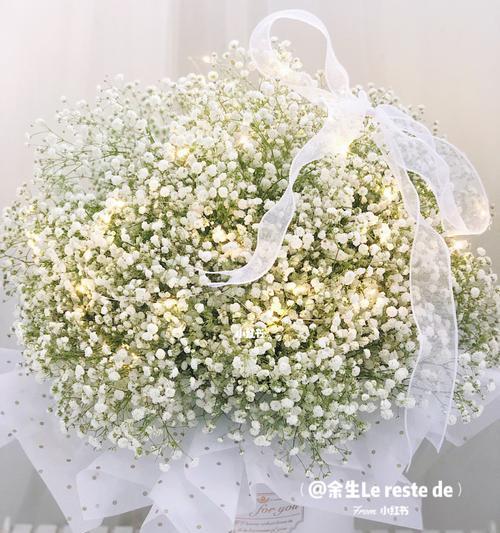缤纷星光（星花语）
