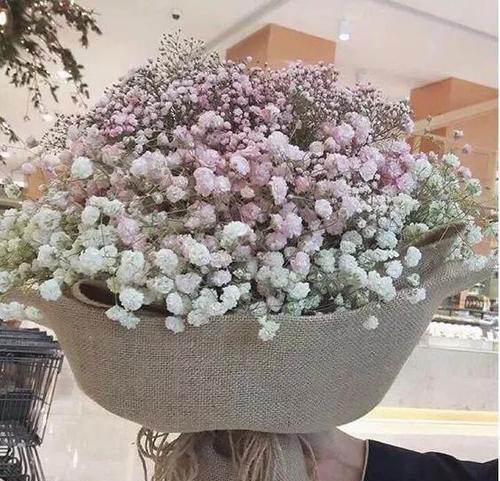 缤纷星光（星花语）