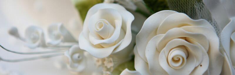 二十一朵白玫瑰的花语——传递爱与祝福（纯洁、真诚与美丽的象征）