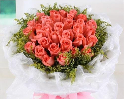 13朵粉玫瑰的寓意和象征意义（一束花背后的深刻含义与情感表达）