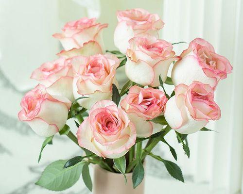以11朵粉色玫瑰代表什么（爱情、祝福与美好）