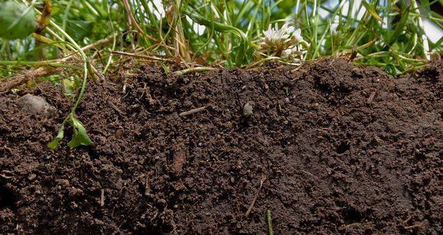 改良酸性土壤，提高农作物产量（从土地调理到施肥，全面优化土壤环境）