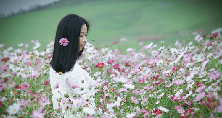 格桑花的寓意与象征（草原之花绽放的秘密和深意）