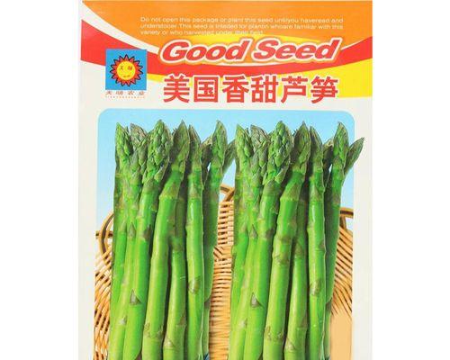 探秘芦笋种子的奥秘（了解芦笋种子的特征与生长过程）