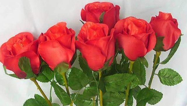 各色玫瑰花的寓意与花语（探索不同颜色玫瑰花的神秘意义，传达真挚情感的选择）