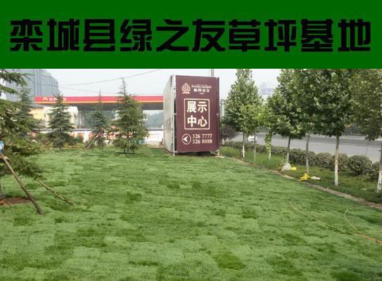 绿化草坪品种大全（从草坪的种类到适用场地，一篇文章带你了解草坪的选择）