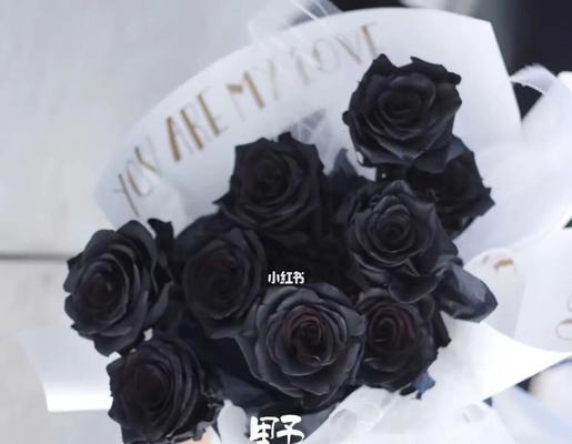 黑玫瑰花语（黑暗中绽放的神秘花朵，它意味着什么？）