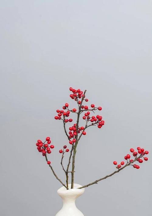 红丁香花语与情感的交织（探寻红丁香花朵所传递的情感信息）