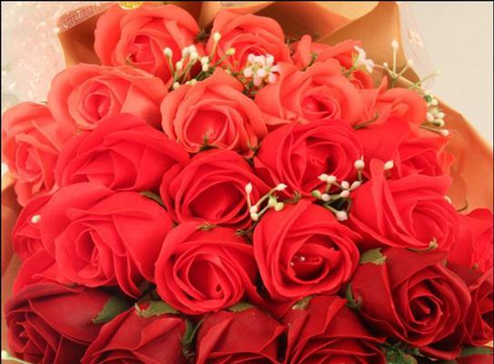 红玫瑰的浪漫含义（探索红玫瑰象征的爱情、热情和美丽）